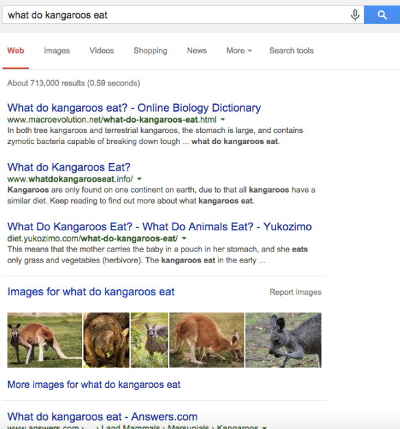 What do kangaroos eat